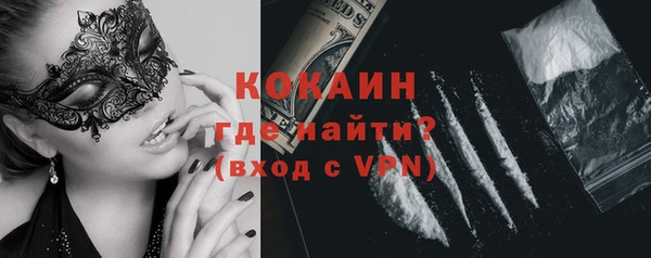 спайс Гусь-Хрустальный