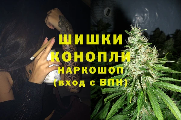 спайс Гусь-Хрустальный