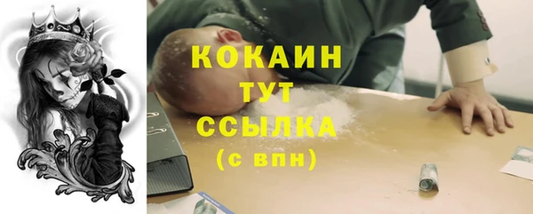 2c-b Горно-Алтайск