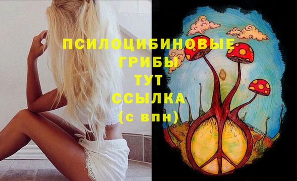 мет Гусев