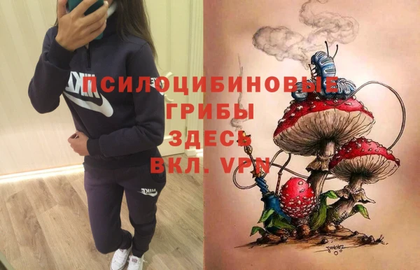 спайс Гусь-Хрустальный