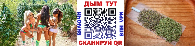 Купить  Биробиджан  Бошки Шишки Amnesia 